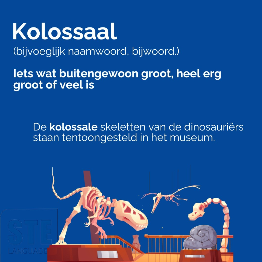 Schermafbeelding 2025-09-15 145828