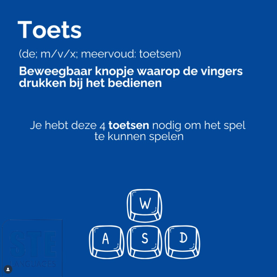 Toets (en)